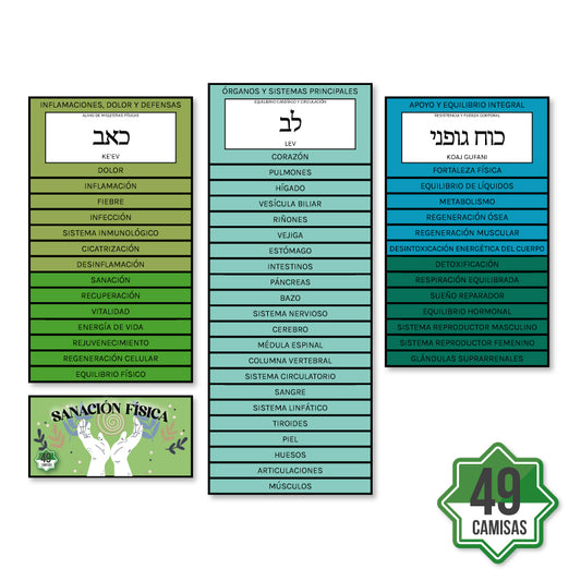 Colección mayorista de 49 etiquetas de sanación física para péndulo hebreo – terapia energética corporal