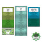 Colección mayorista de 49 etiquetas de sanación física para péndulo hebreo – terapia energética corporal